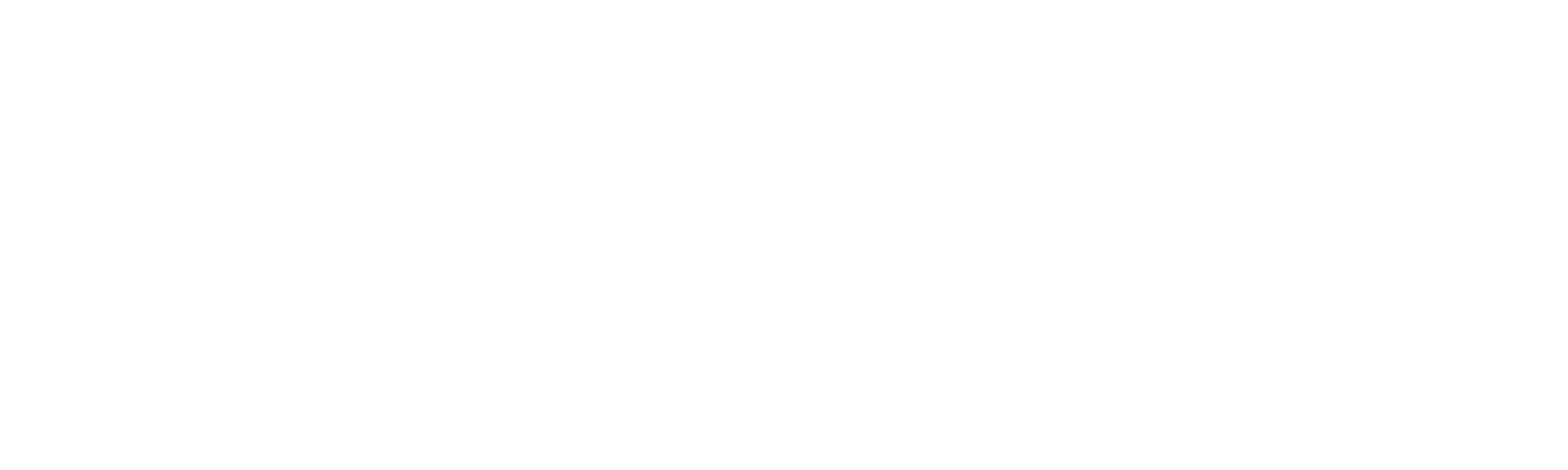 EcoWashCar